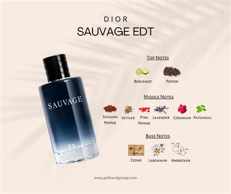 dior sauvage damski|dior sauvage cologne top notes.